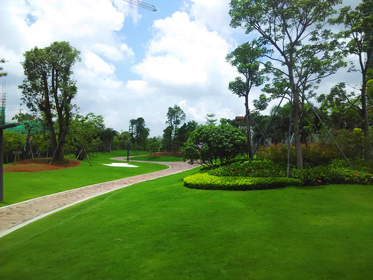城市園林綠化應特別注意什么